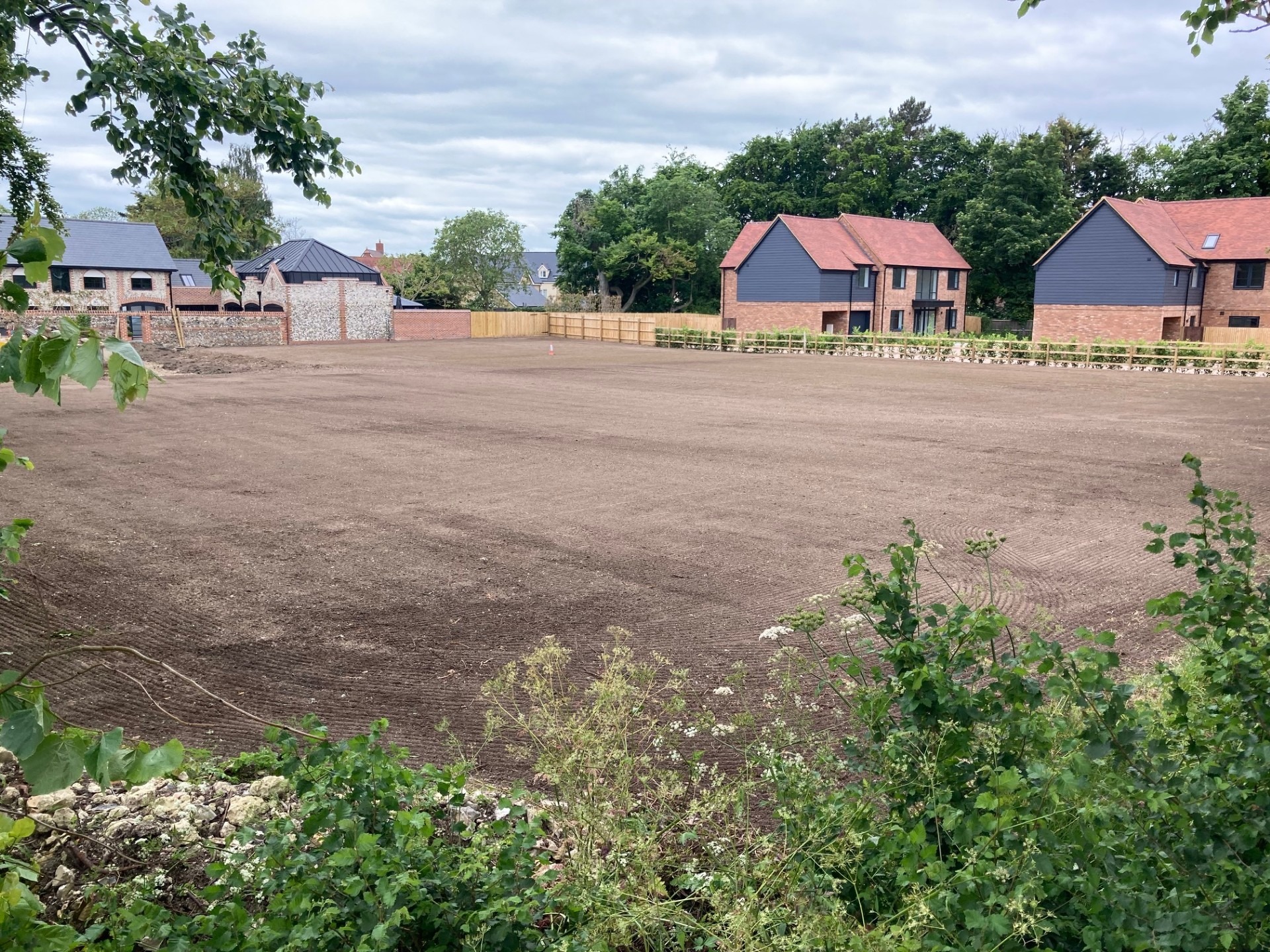 Lawn seeding