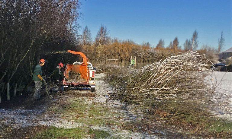 Landscape maintenance wood chipper