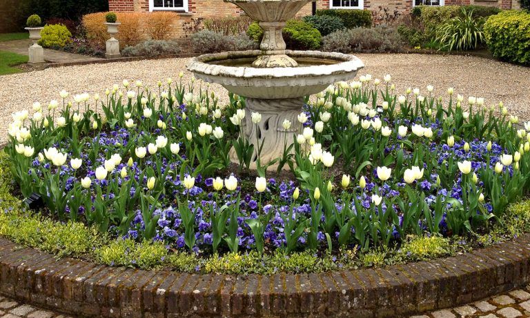 Landscape planting and consultancy services