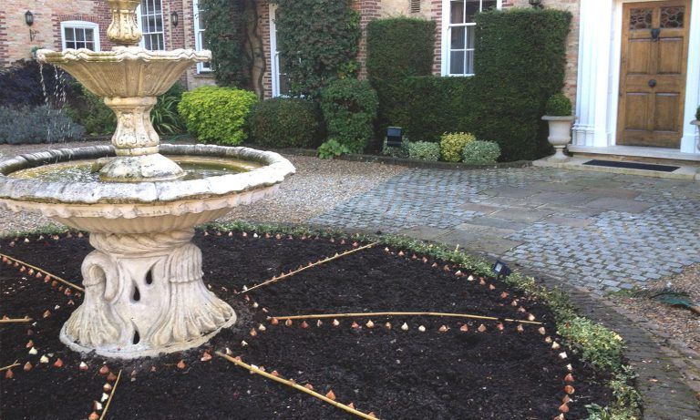 Planting garden landscape preparation